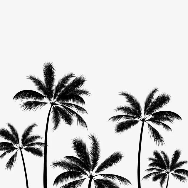 Kissen Summer Palmtrees black