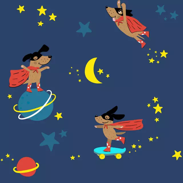 Kissen Superdog -Space