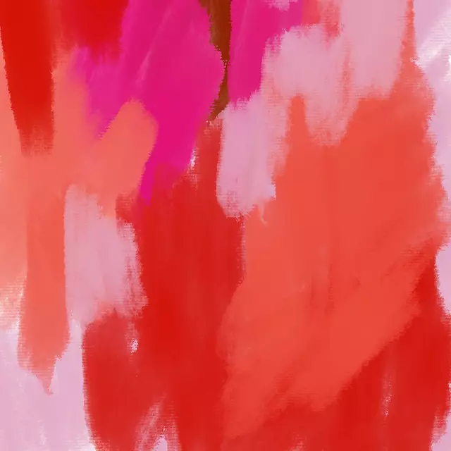 Kissen Red Pink Canvas