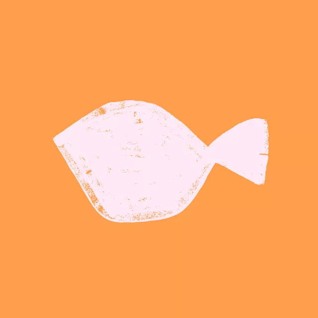 Kissen SUN FISH