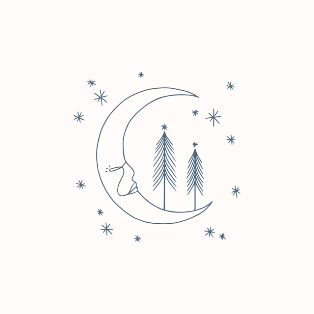 Kissen Winter Moon