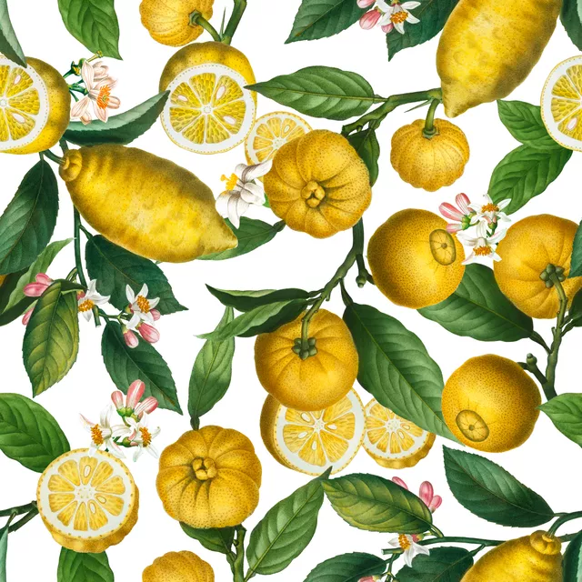 Bettwäsche Zitronen Limonade 4