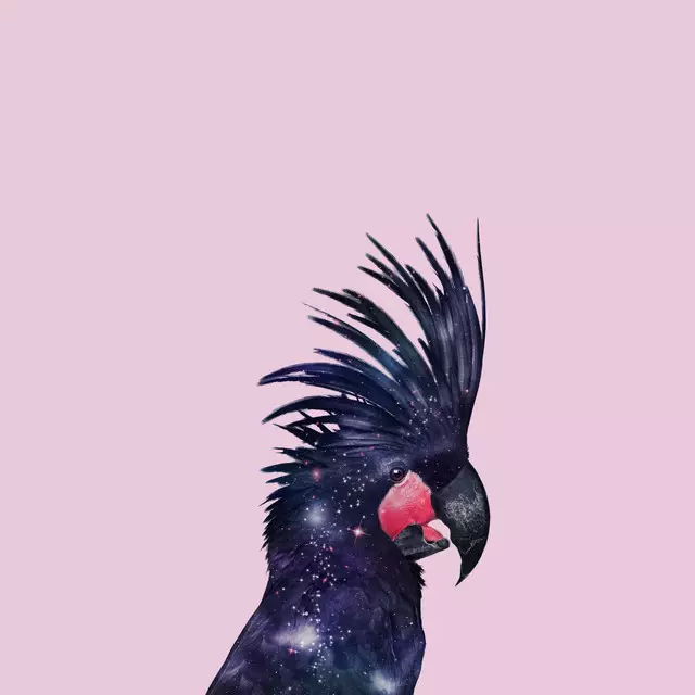 Servietten Galaxy Bird