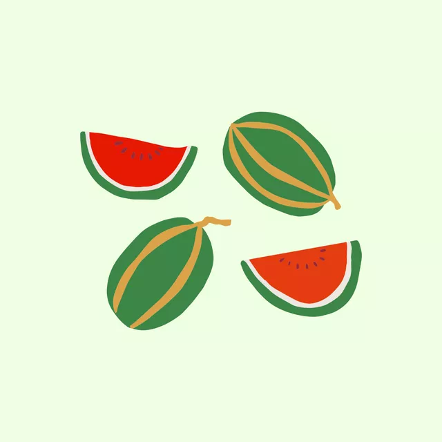 Kissen Wassermelone 2