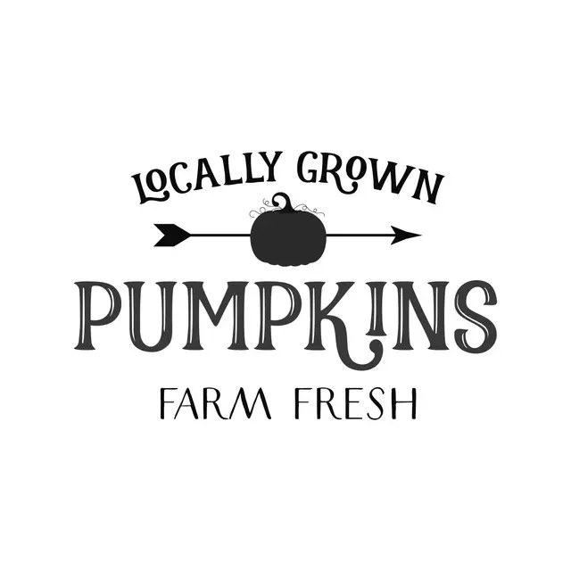 Kissen Farm Fresh Pumpkins