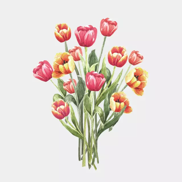 Kissen Tulpen Blumenstrauß rot beige