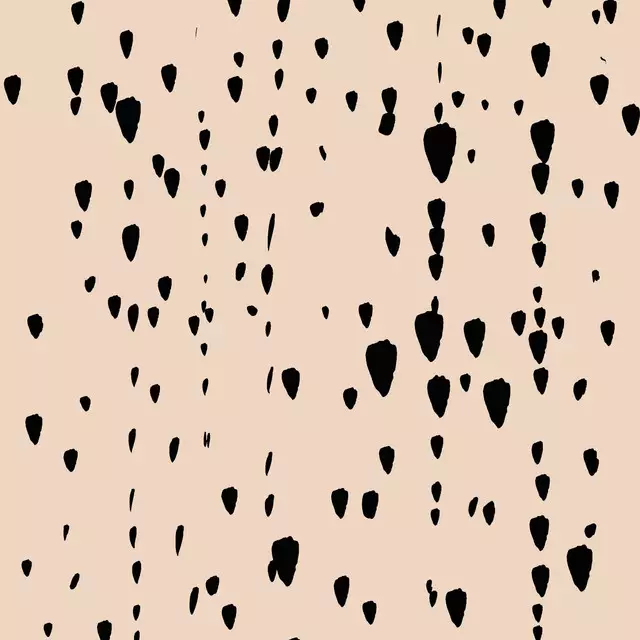 Dekovorhang Beige Schwarz Tropfen