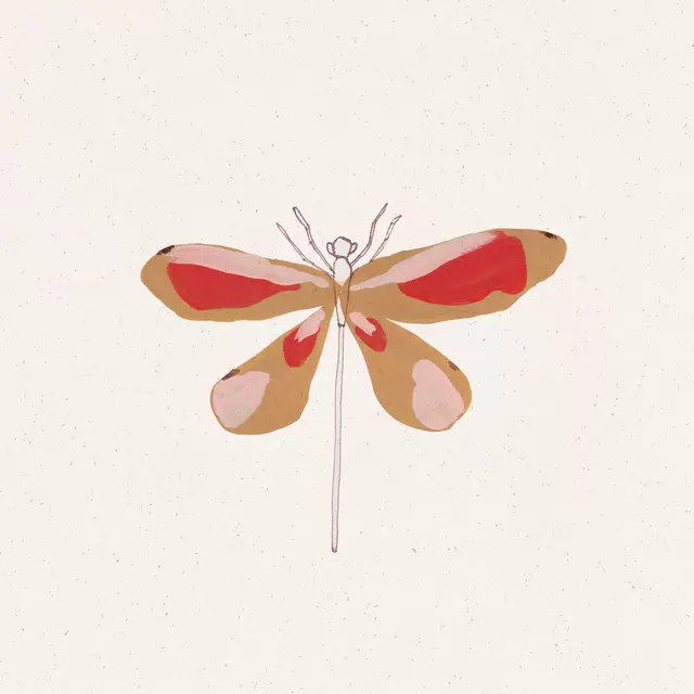 Kissen Libelle Inga