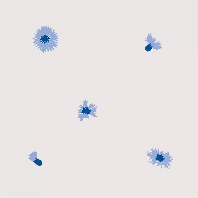 Kissen Kornblumen Blau