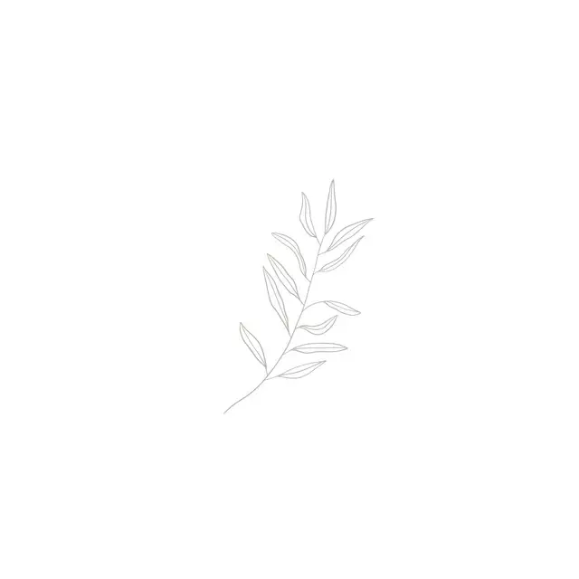 Kissen Leaf Sketch