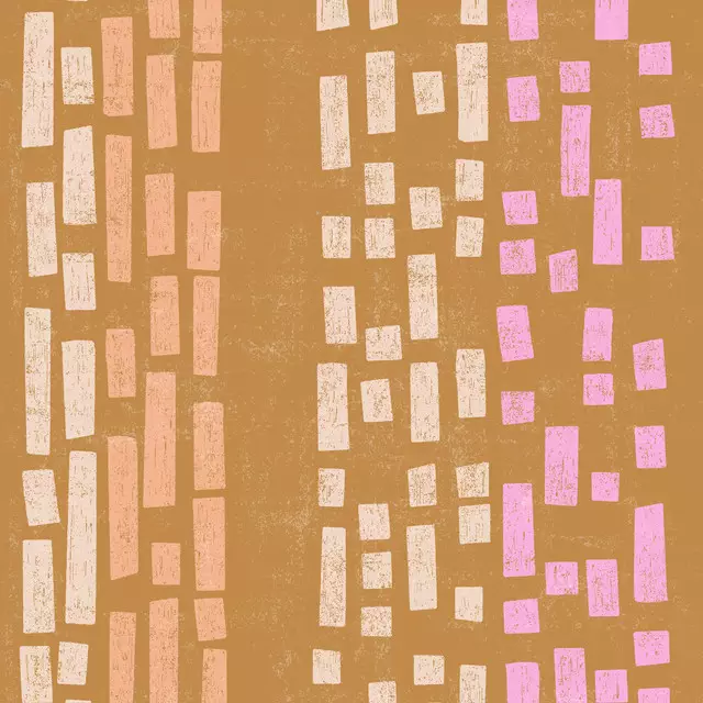 Kissen Snippets+Stripes Curry Shades