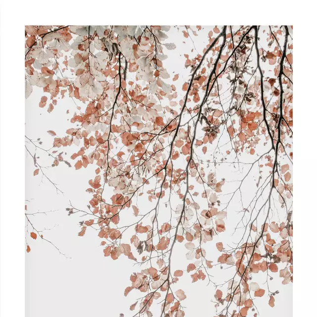 Kissen Birkenblätter im Herbst