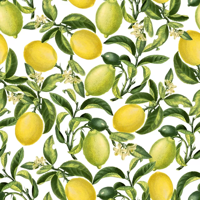 Kissen Zitronen Limonade 6