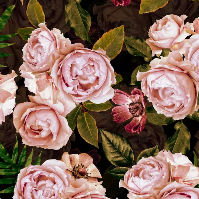 Flächenvorhang Mitternachts Vintage Rosen