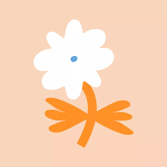 Kissen Liva Flower White-Orange
