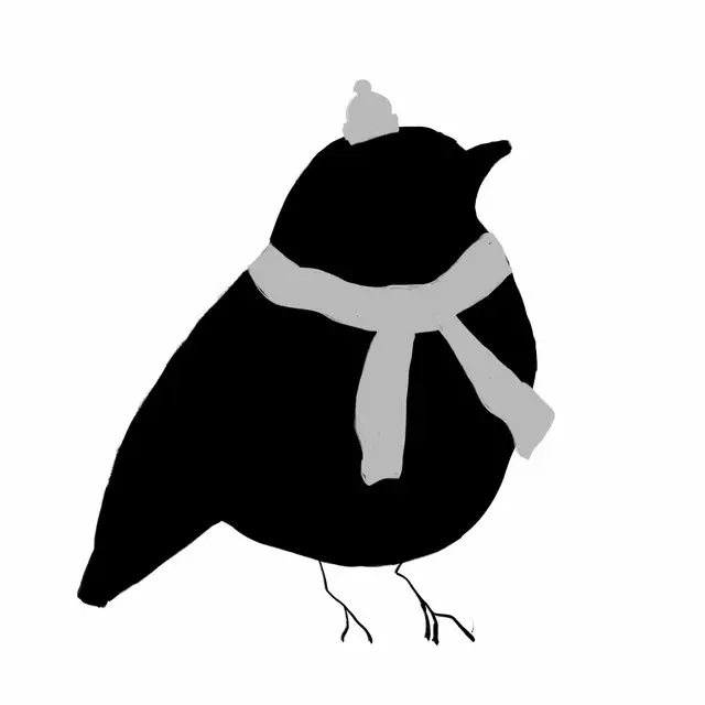 Kissen Vogel mit Schal & Mütze
