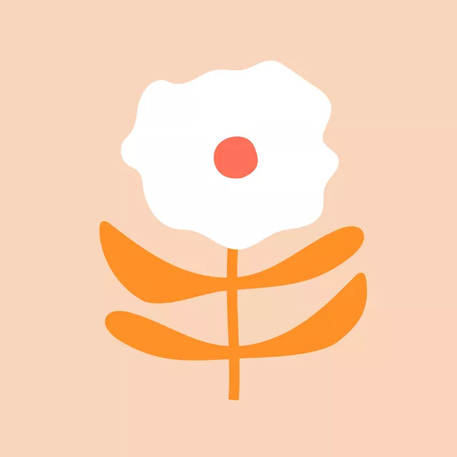 Kissen Liva Flower White-Orange