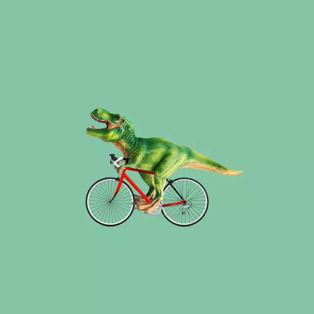 Kissen T-Rex Bike