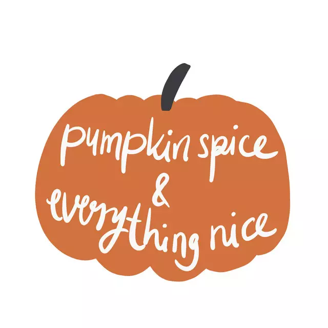 Kissen Pumpkin Spice