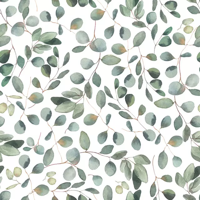 Dekovorhang Silber Eukalyptus Blätter