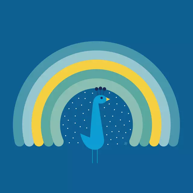 Bettwäsche Regenbogen Pfau