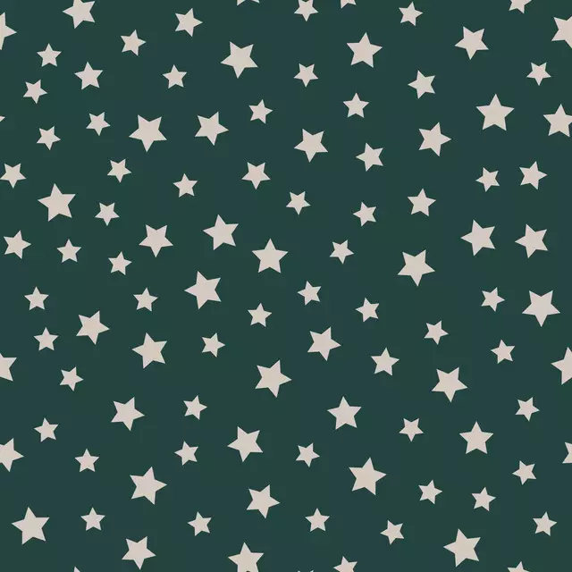 Kissen Winter Stars fir green