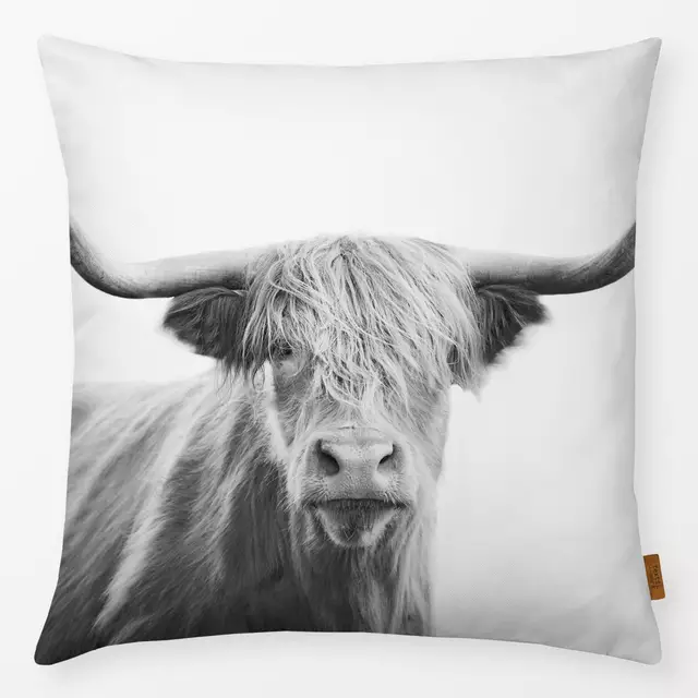 Kissen Highland cow