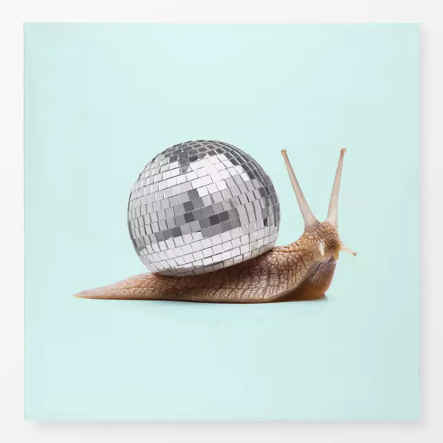 Tischdecke Disco Snail