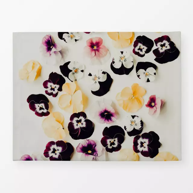 Pansy Flowers