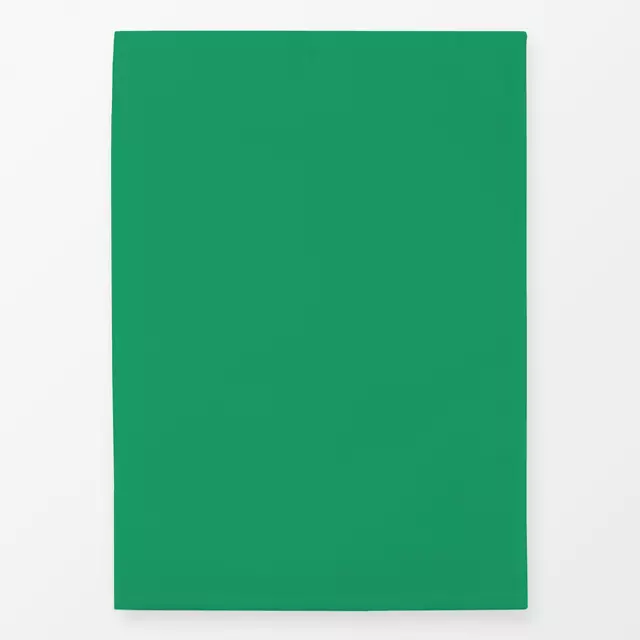 Geschirrtuch colors Kunstgrün