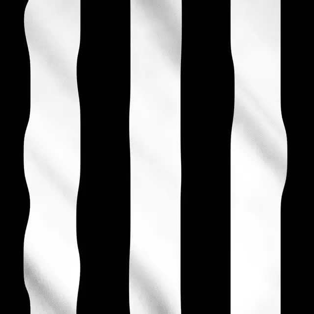 Meterware Simple Stripes Black And White