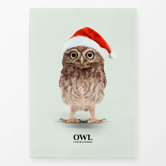 Geschirrtuch Owl I Want For Christmas